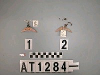 藏品(貝片珠串耳飾)的圖片